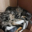 ���� �����, ������� ������, 54 ���� - ��������� 19 ������ 2022 � ������ ���� ����������