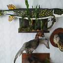 ���� ������, ������, 45 ��� - ��������� 4 ����� 2022 � ������ ���� ������