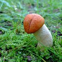 ���� ��������, ����������, 65 ��� - ��������� 30 �������� 2022