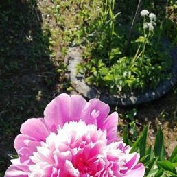 ���� �������, ������� - ��������� 6 ���� 2022