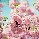 ���� ������, ������, 47 ��� - ��������� 17 ������ 2023 � ������ ���� ����������