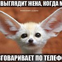 ���� ��������, ������, 55 ��� - ��������� 22 ������� 2022 � ������ ���� ����������