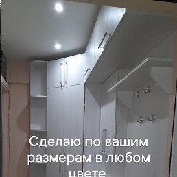 ��������, ������, 48 ���