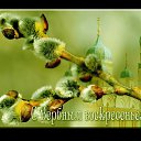 ���� �������(����), ������ - ��������� 17 ������ 2022 � ������ ������ ��������