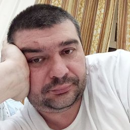 ���������, ��������, 41 ���