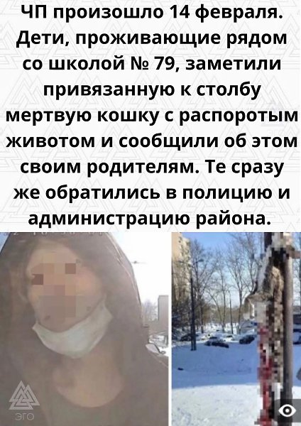 21-летний живодёр с психическими отклонениями будоражит улицы Самары. - 2