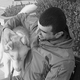 ���, ������, 40 ���