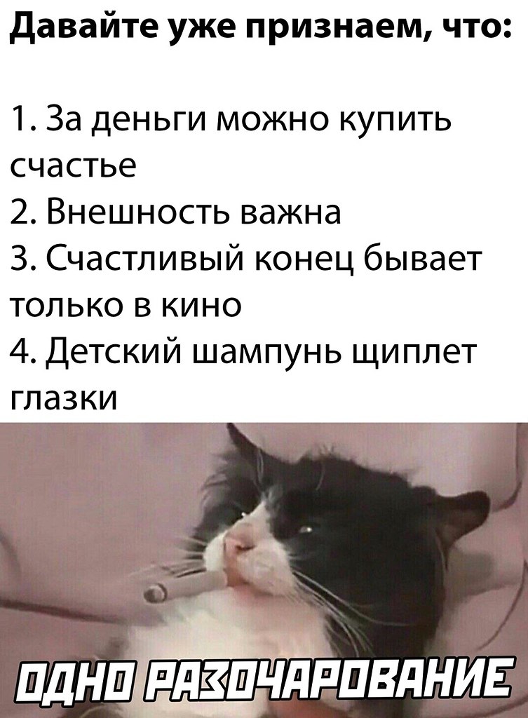 ☆ ☆ - 11  2022  12:23