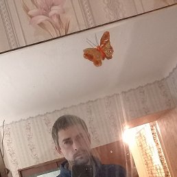 ���������, ����������, 43 ����