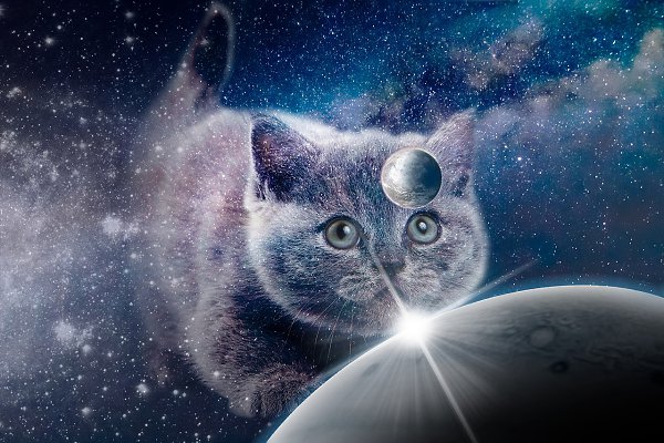 "Звездная кошка" =========== — Это что такое? Создательвсего рассердился не на шутку. — ...