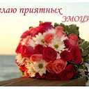 ���� �������, ������� ����� - ��������� 26 ������ 2022 � ������ ������ ��������