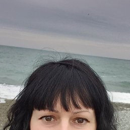 , 51, 