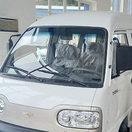 ���� ����, ������, 33 ���� - ��������� 17 ������� 2023