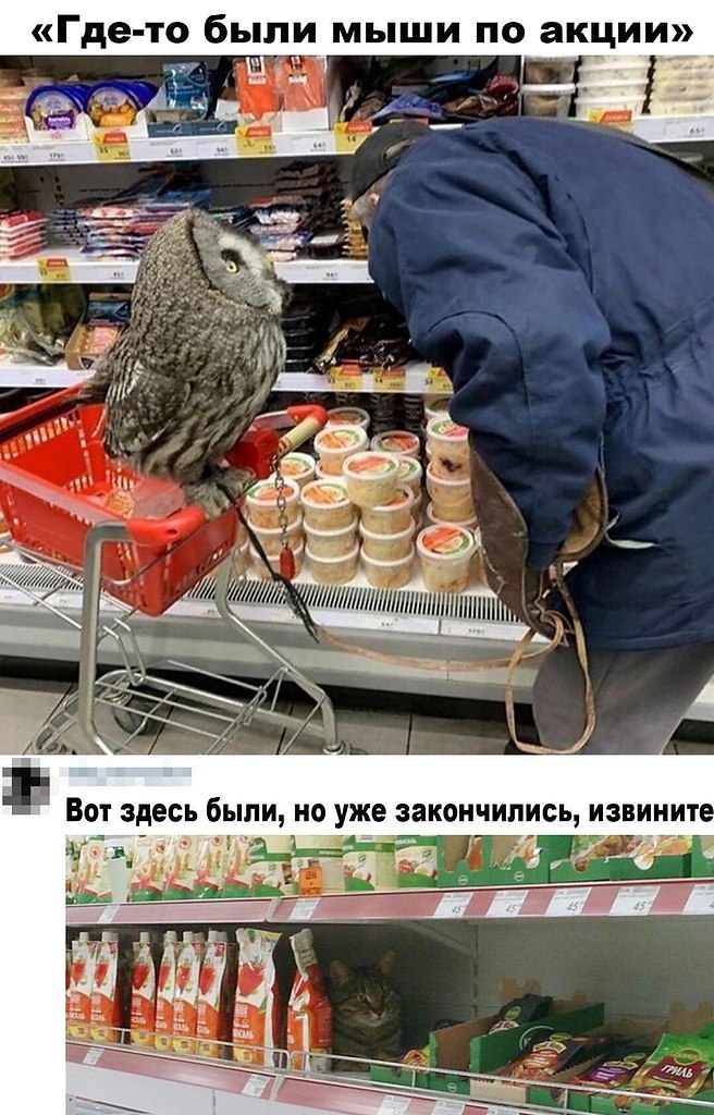   - 4  2022  06:51