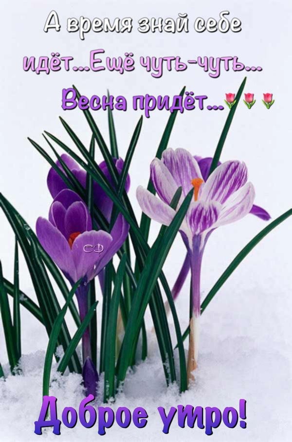 ПРИКОСНОВЕНИЕ ДУШИ - 16 февраля 2022 в 07:32