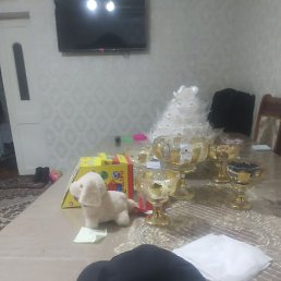 ���� �����, �����, 61 ��� - ��������� 24 ������ 2023