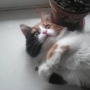 ���� ����, ��������, 36 ��� - ��������� 27 ������� 2022 � ������ ������ ��������