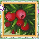 ���� ������, ��������, 36 ��� - ��������� 15 ������� 2023