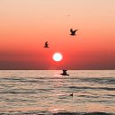 ���� ���������, �������, 64 ���� - ��������� 21 ������ 2022