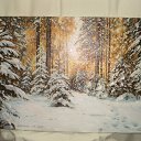 ���� ������, �������, 55 ��� - ��������� 19 ������� 2023 � ������ ���� ����������