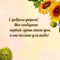 ���� �����, �����������, 49 ��� - ��������� 24 ������� 2022