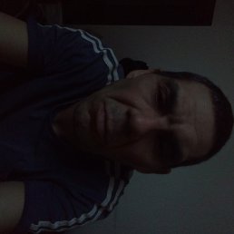 ������, �����������, 46 ���