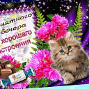 ���� �����, ������, 62 ���� - ��������� 19 ������� 2023 � ������ ���� ����������