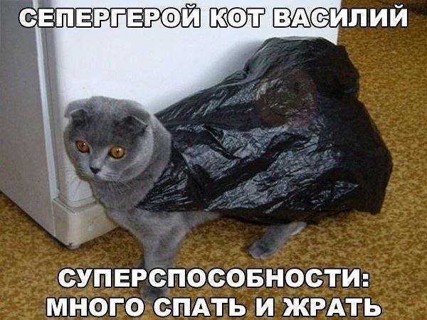    - 13  2022  03:31