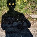 ���� ��, ������, 41 ��� - ��������� 5 �������� 2022 � ������ ���� ����������