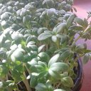 ���� ������, �������, 38 ��� - ��������� 3 ������ 2022 � ������ �111�