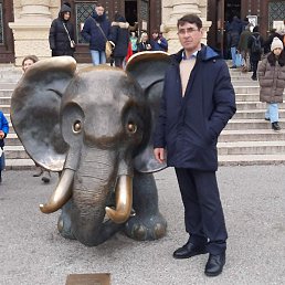 Tudor, �������, 53 ����