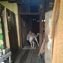 ���� Vladimir, ������, 66 ��� - ��������� 25 ������ 2023