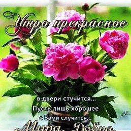 ���� �������, ���������, 68 ��� - ��������� 27 ������ 2022