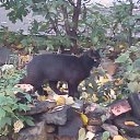 ���� �, ������, 42 ���� - ��������� 5 ������� 2022 � ������ ���� ����������