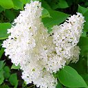 ���� �������, ��������, 70 ��� - ��������� 25 ������ 2022 � ������ ���� ����������