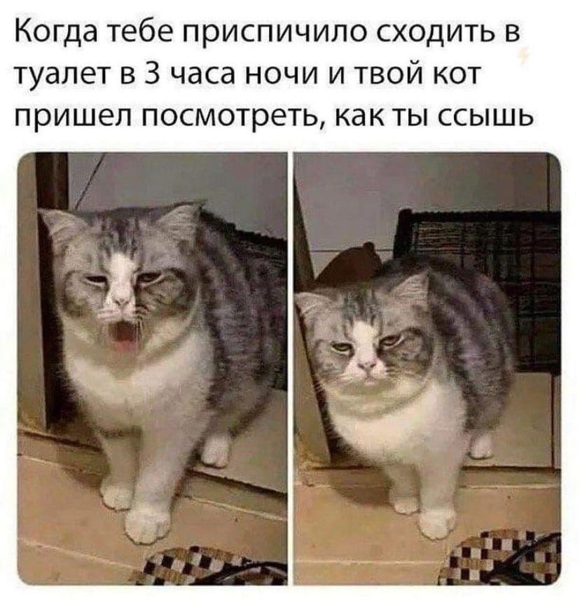    - 17  2023  22:19