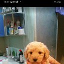 ���� Rystam, ������, 73 ���� - ��������� 21 ������ 2023 � ������ ���� ����������