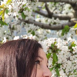 ���� ����, ������, 41 ��� - ��������� 10 ������� 2022