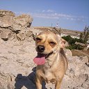 ���� �������, �������, 62 ���� - ��������� 26 ������� 2022 � ������ ���� ����������