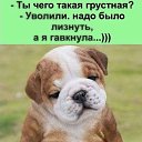 ���� ������, �������� - ��������� 28 ������ 2022 � ������ ������ ��������