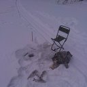 ���� ����, ������, 52 ���� - ��������� 2 ������� 2022 � ������ ���� ����������