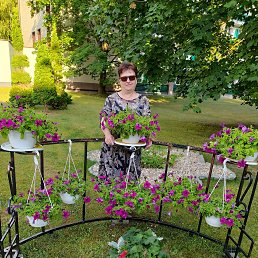 ���� ���������, �����, 60 ��� - ��������� 12 ������ 2022