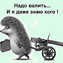 ���� Lucky Elite, ��������, 66 ��� - ��������� 5 ������� 2022 � ������ ������ ��������