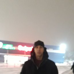 ���� ������, ���������, 43 ���� - ��������� 31 ��� 2022