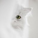 ���� 9 ��� �����- ����!!!, ��������� - ��������� 31 ������� 2022 � ������ ����� � *�����*...�