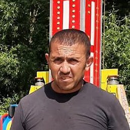 �����, ������, 46 ���