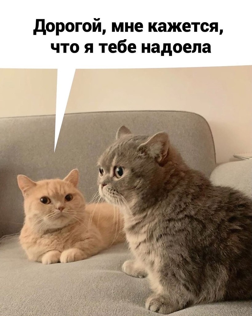 ����� ��� ������� ������