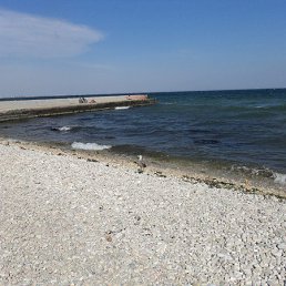 ���� �������, ������, 67 ��� - ��������� 11 ������ 2022