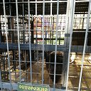 ���� ������, ������, 39 ��� - ��������� 20 ����� 2022 � ������ �������� ��������