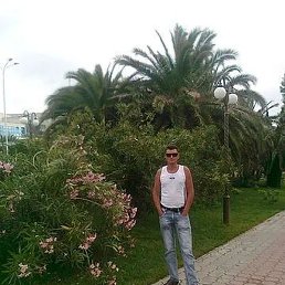 �����, ���������, 44 ����